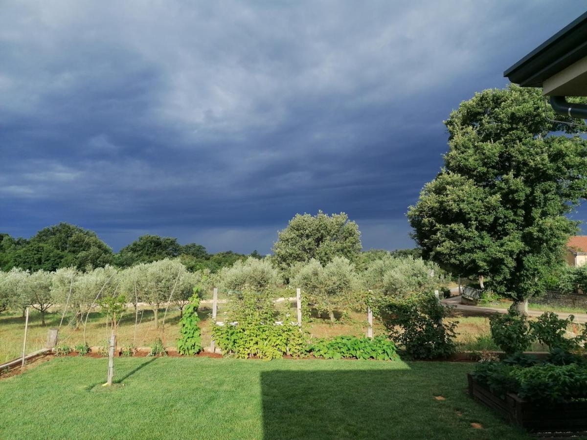 Ferienresidenz Lavandula Nova Vas  Екстериор снимка